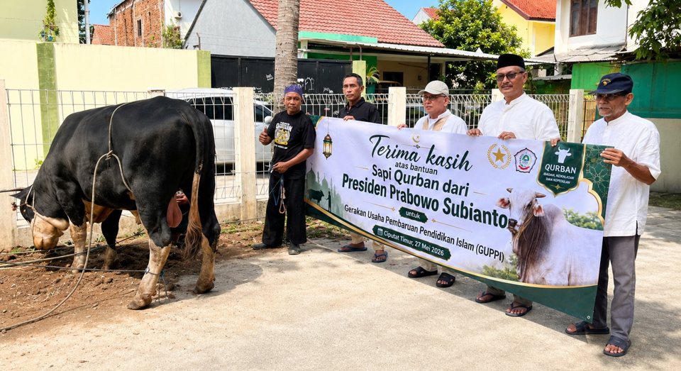 DPP GUPPI Apresiasi Bantuan Sapi Kurban Dari Presiden Prabowo Subianto